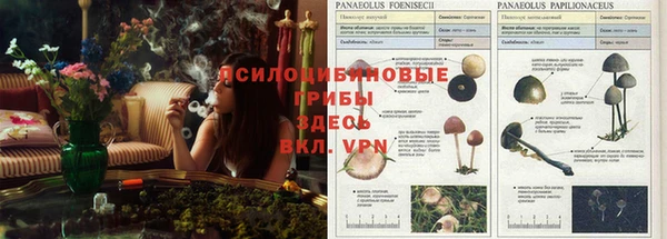 кристаллы Осташков