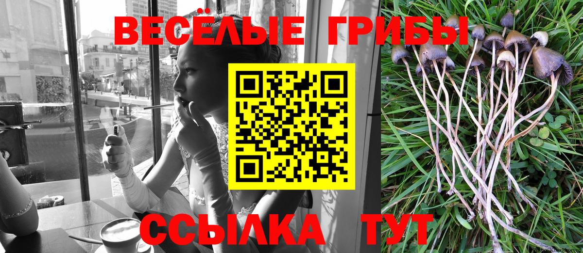 Псилоцибиновые грибы Magic Shrooms Юрга