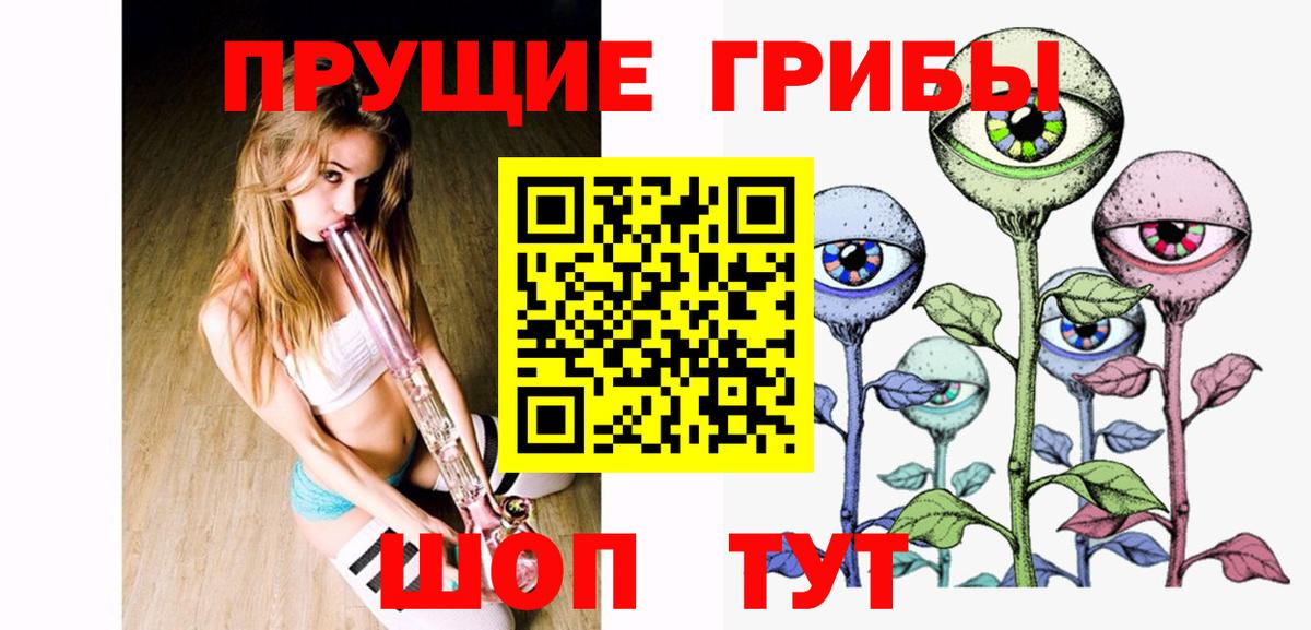 Юрга  Псилоцибиновые грибы MAGIC MUSHROOMS  Галлюциногенные грибы мухоморы  Вход с VPN 